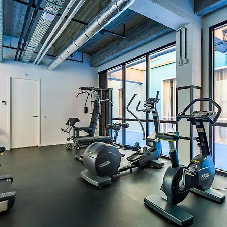 Mate Bruno, روتردام