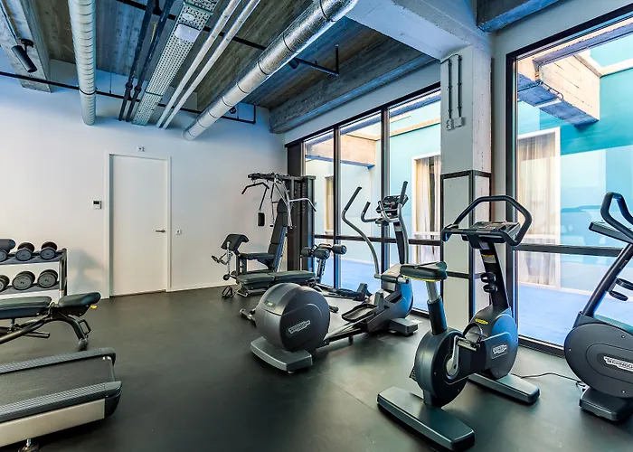 Mate Bruno, Rotterdam